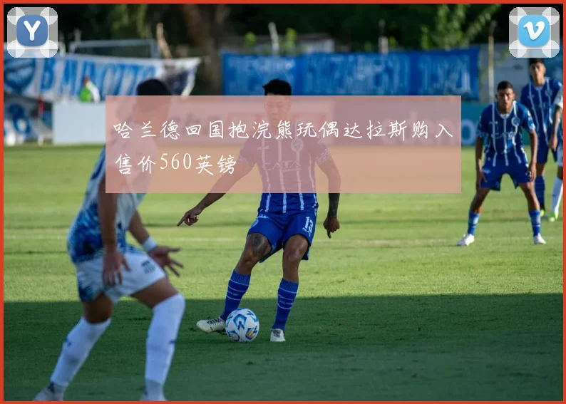 哈兰德回国抱浣熊玩偶达拉斯购入售价560英镑